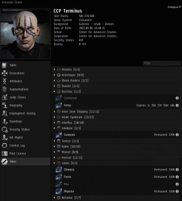 Skins tab in the character sheet