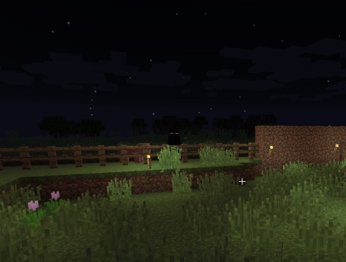Just Enderman at the fence line staring in...