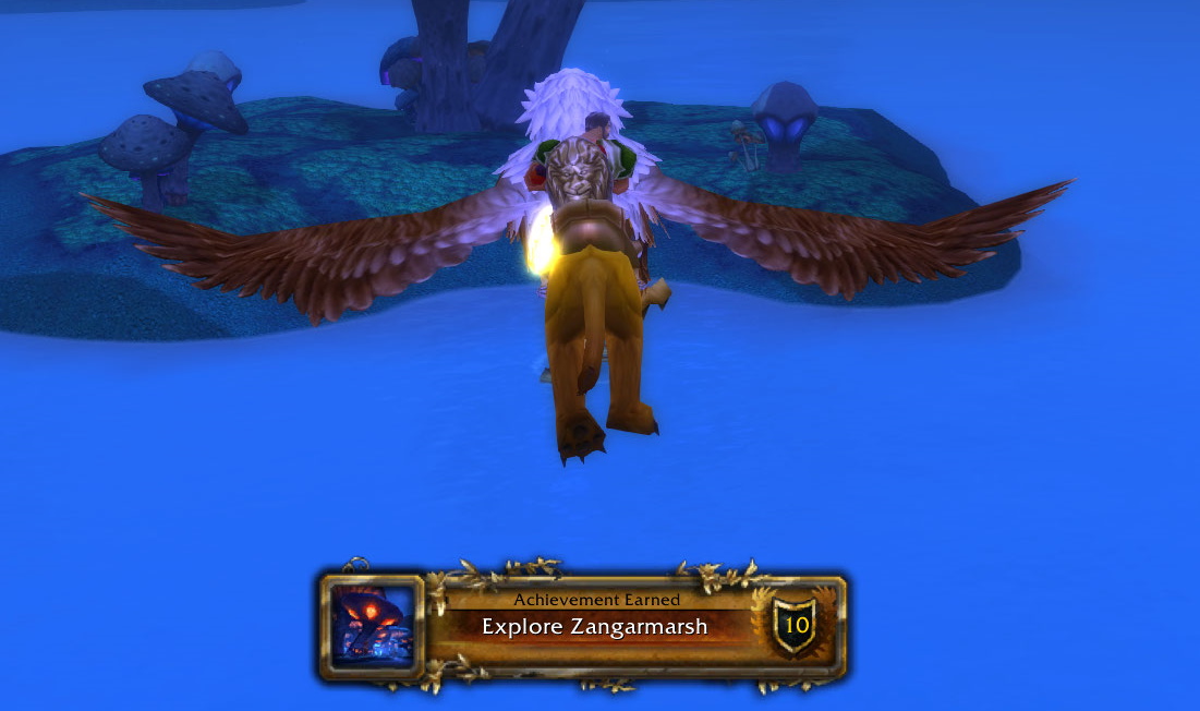 What to do at level 70 in WoW TBC?, learn flying tbc 